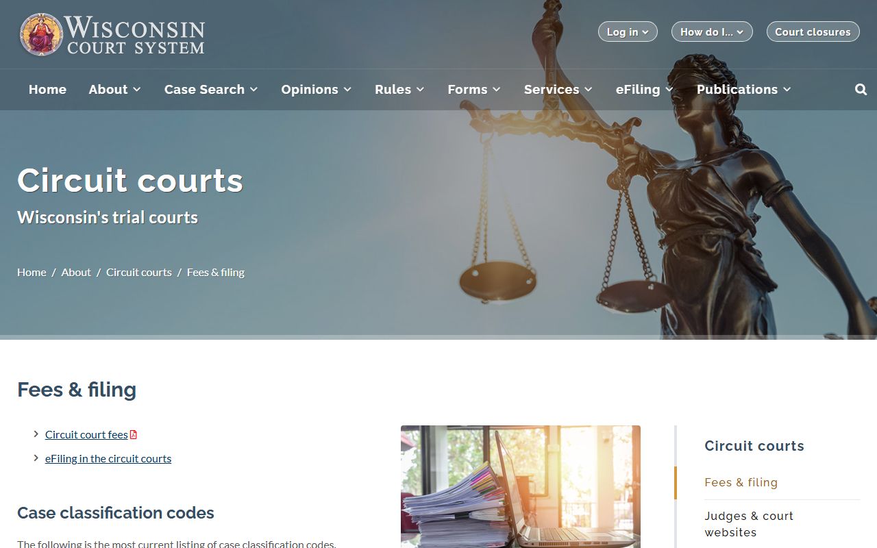 Dane County court dockets case classification code reference